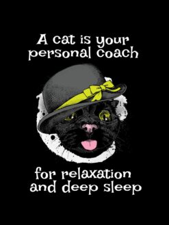 Alternative view of A cat is your personal coach