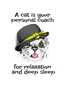 Alternative view of A cat is your personal coach