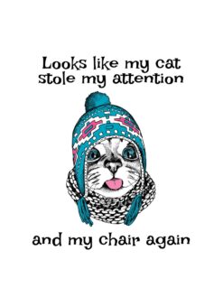 Alternative view of My cat stole my attention