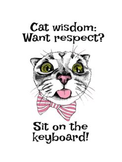 Alternative view of Cat wisdom
