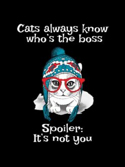 Alternative view of Cats always know who’s the boss