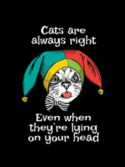 Alternative view of Cats are always right