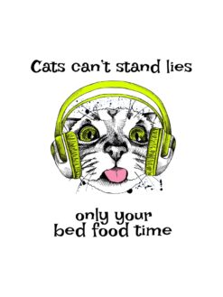 Alternative view of Cats can’t stand lies