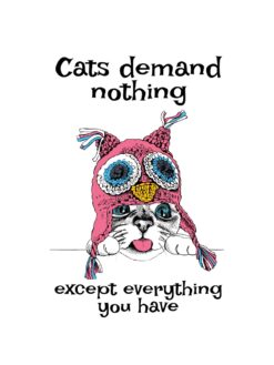 Alternative view of Cats demand nothing
