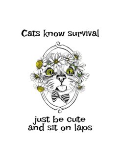 Alternative view of Cats know survival