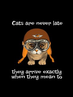 Alternative view of Cats are never late