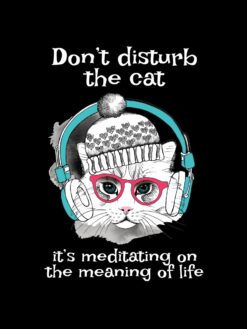 Alternative view of Don’t disturb the cat