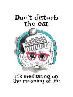 Alternative view of Don’t disturb the cat