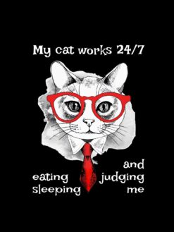 Alternative view of My cat works 24/7