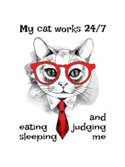 Alternative view of My cat works 24/7