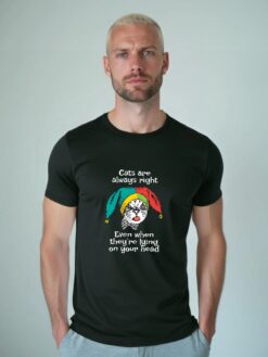 Cats are always right