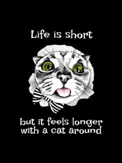 Alternative view of Life is short