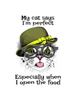 Alternative view of My cat says I’m perfect