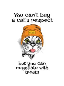 Alternative view of You can’t buy a cat’s respect